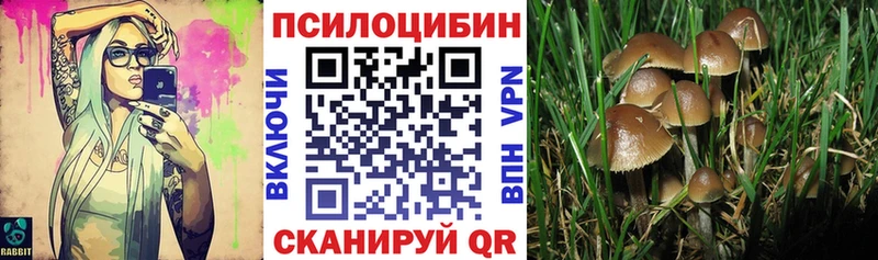 продажа наркотиков  Ликино-Дулёво  Галлюциногенные грибы GOLDEN TEACHER 